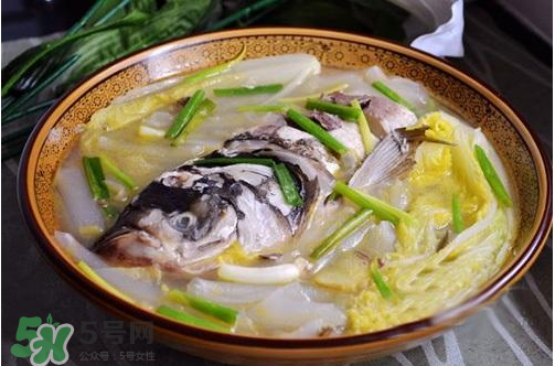 鰱魚湯怎么熬湯？鰱魚湯的功效與作用