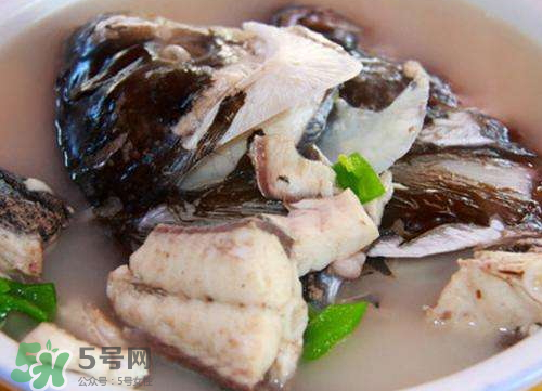 鰱魚湯怎么熬湯？鰱魚湯的功效與作用