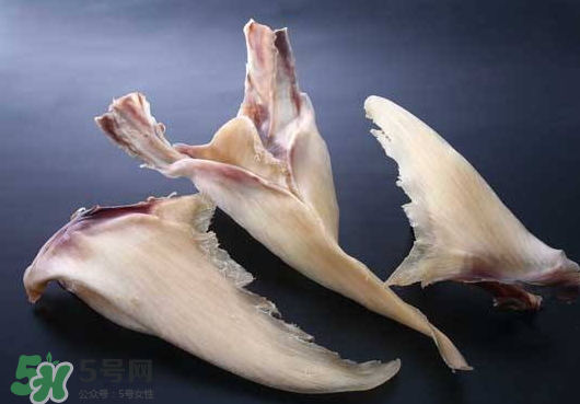 干魚(yú)翅怎么保存？魚(yú)翅可以放多久？