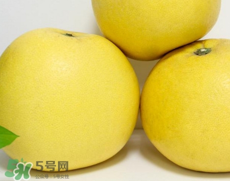 蜜柚是哪個季節(jié)的水果？蜜柚和沙田柚的區(qū)別是什么？
