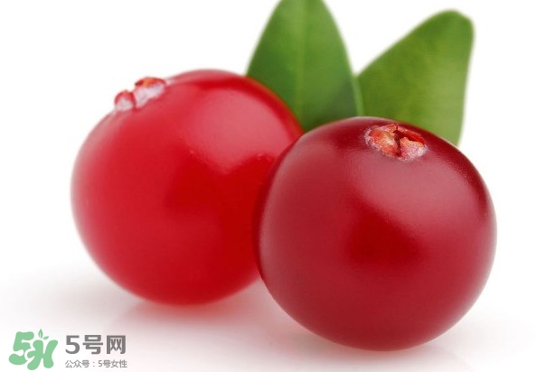 蔓越莓是藍(lán)莓嗎？蔓越莓是哪里產(chǎn)的