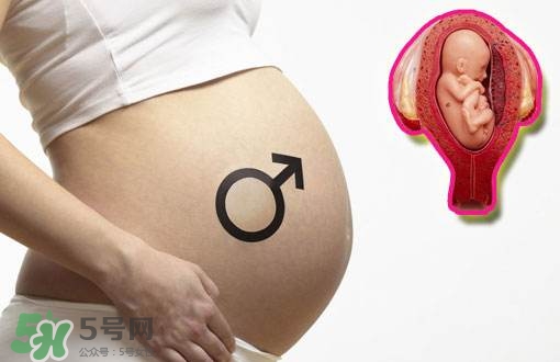 導(dǎo)樂(lè)分娩怎么樣？導(dǎo)樂(lè)分娩全過(guò)程