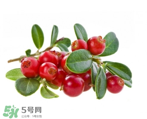 蔓越莓在中國有嗎？蔓越莓怎么辨別真假