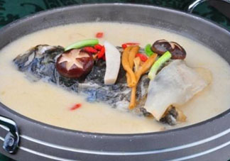 鰱魚(yú)湯怎么熬湯？鰱魚(yú)湯的功效與作用