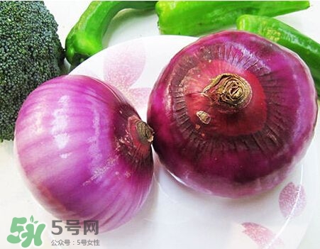 洋蔥狗狗能吃嗎？狗狗吃了洋蔥怎么辦？