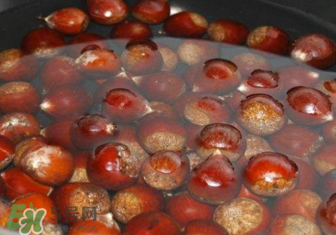 板栗用冷水還是熱水煮？煮板栗用冷水還是熱水？