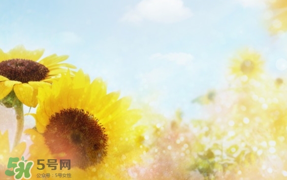 見封滾是什么意思？