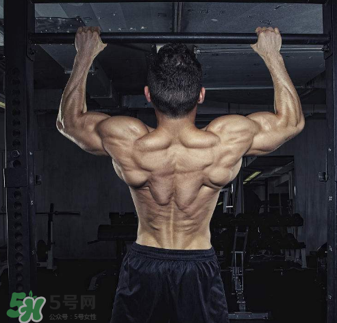 引體向上背部怎么發(fā)力？引體向上發(fā)力技巧