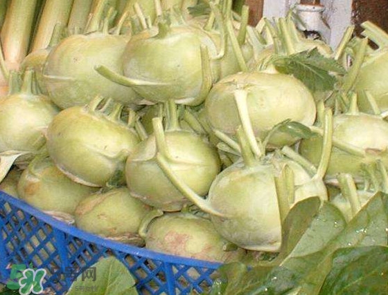 苤藍怎么腌制好吃？苤藍有什么營養(yǎng)
