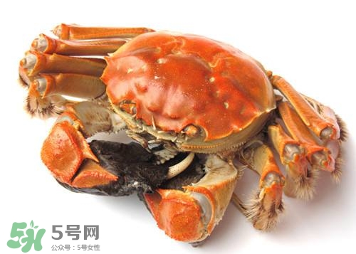 螃蟹里面有寄生蟲嗎？螃蟹有寄生蟲還可以吃嗎？
