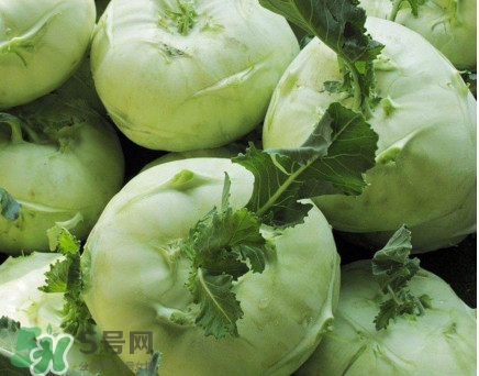 苤藍什么季節(jié)種植？苤藍什么時候采收