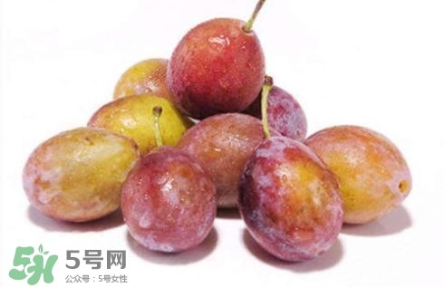 西梅可以放冰箱嗎？西梅放冰箱冷藏還是冷凍？