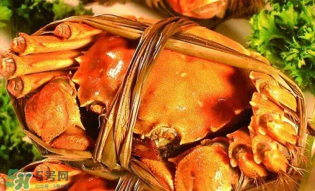 螃蟹吃什么食物長(zhǎng)得大？十月份吃什么螃蟹？