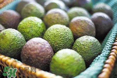 牛油果吃了對子宮好嗎？牛油果對子宮的好處