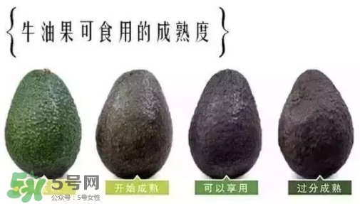 牛油果是什么味道？牛油果是甜的嗎？