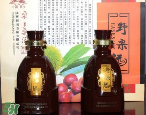 泡板栗酒用什么酒最好？板栗用什么酒泡最好？
