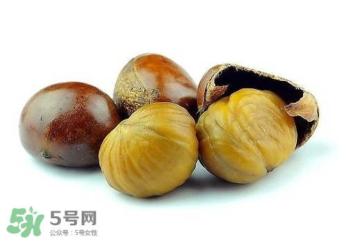板栗酒每次喝多少合適？板栗泡酒一次喝多少？