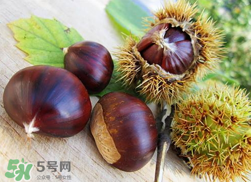 板栗泡酒真的能壯陽嗎？板栗泡酒有什么功效？