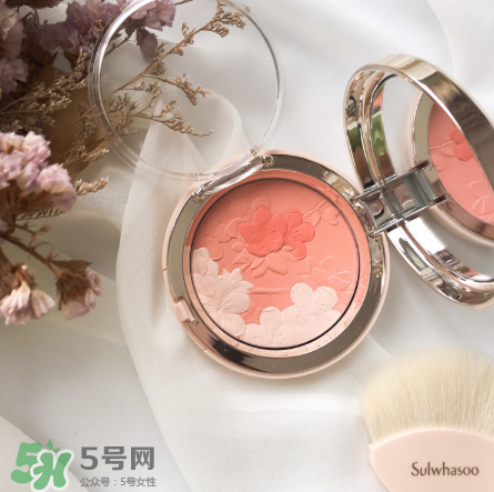 雪花秀腮紅多少錢？雪花秀腮紅價(jià)格