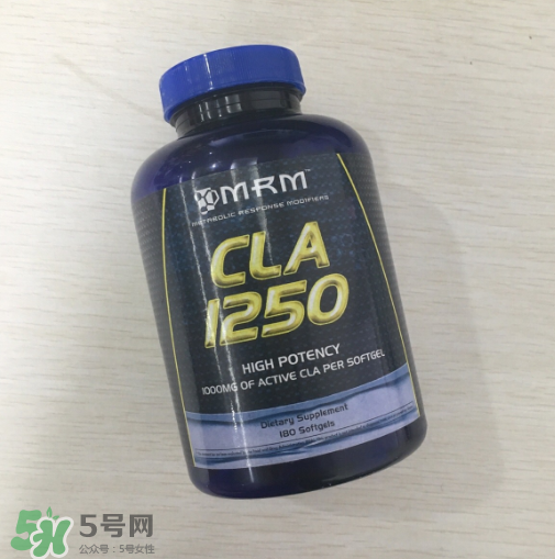 肌酸能和蛋白粉一起吃嗎？肌酸能長期服用嗎？
