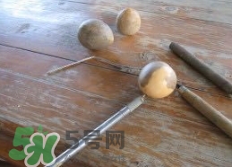 牛油果核能吃嗎？牛油果核怎么種盆栽？