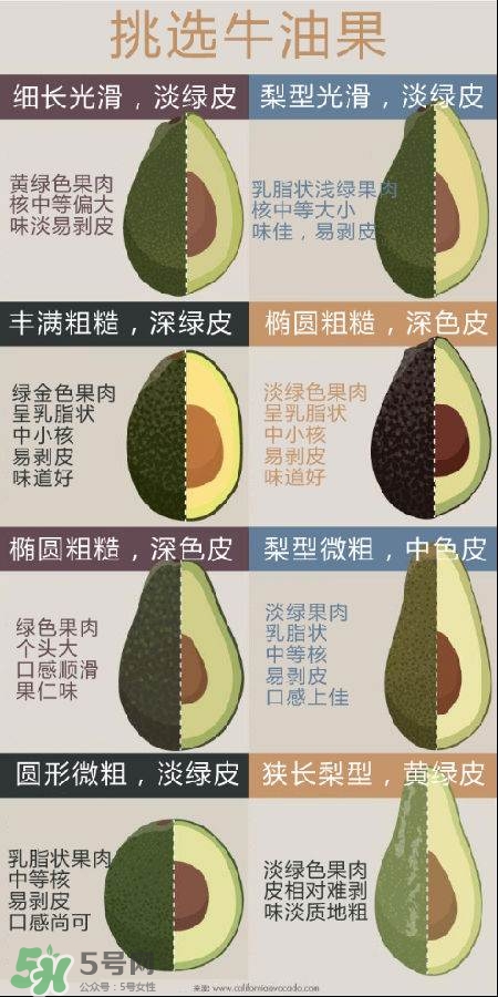 牛油果怎么挑選？牛油果多少錢一斤？