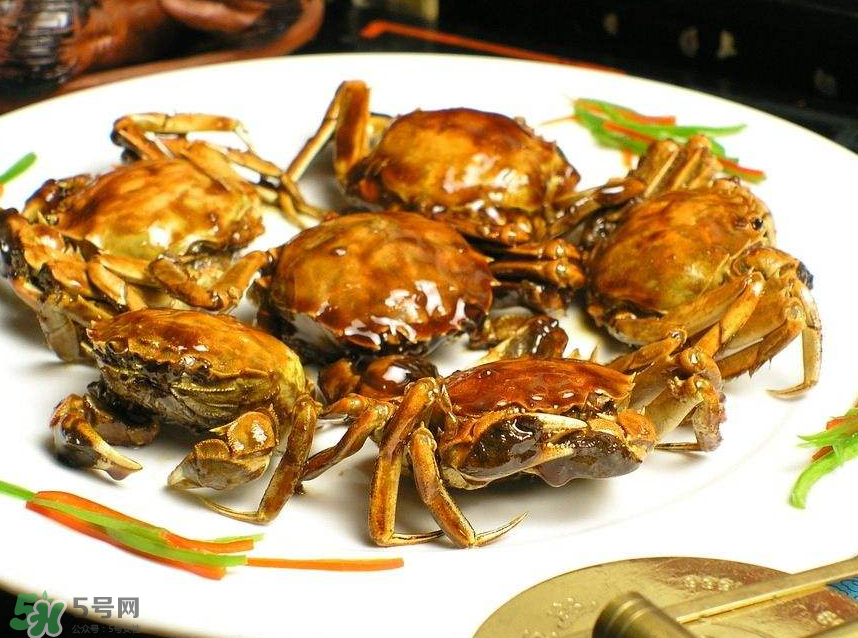 哪種螃蟹肉多？哪種螃蟹最好吃？