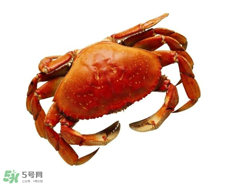 哪種螃蟹不能吃？什么樣的螃蟹不能吃？