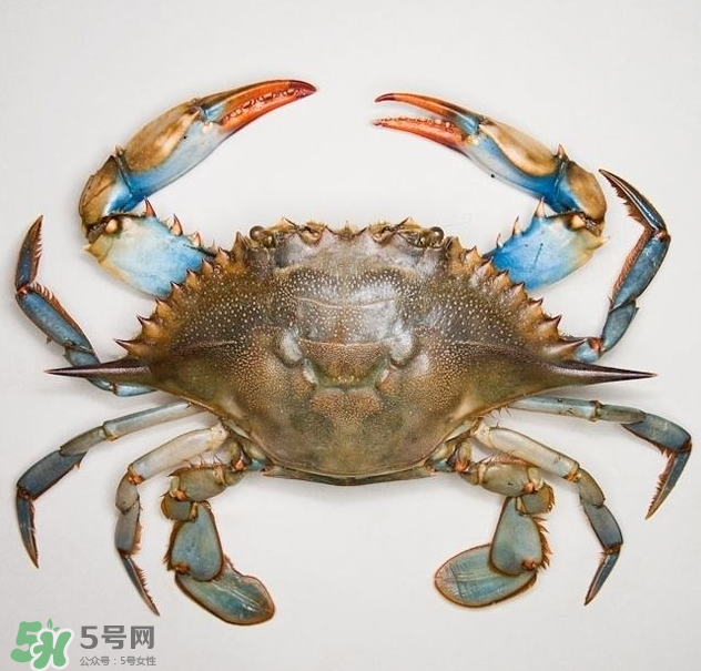 蟹膏是綠色的嗎？蟹膏是黑色的能吃嗎？
