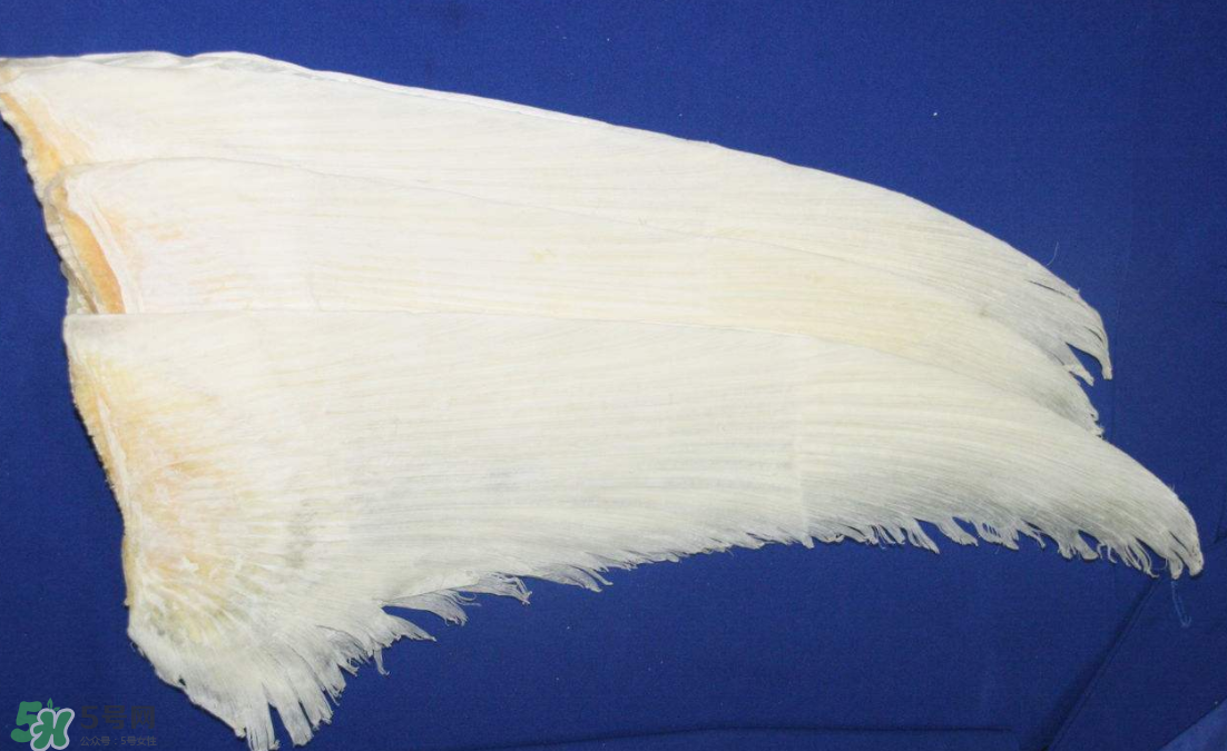 魚(yú)翅卡喉嚨了怎么辦？魚(yú)翅卡喉嚨的自救法