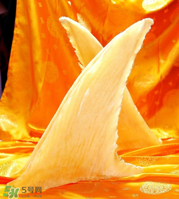 魚(yú)翅卡喉嚨了怎么辦？魚(yú)翅卡喉嚨的自救法