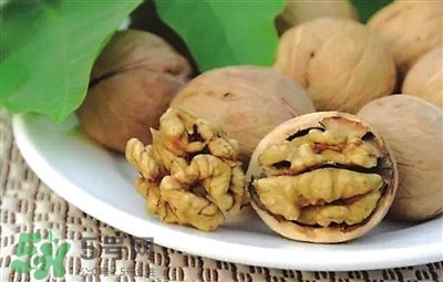 核桃分心木可以煲湯嗎？核桃分心木可以和枸杞泡水嗎？