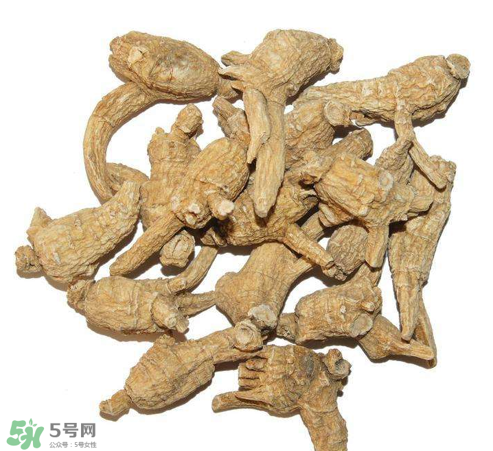 花旗參和西洋參的區(qū)別 花旗參好還是西洋參好？