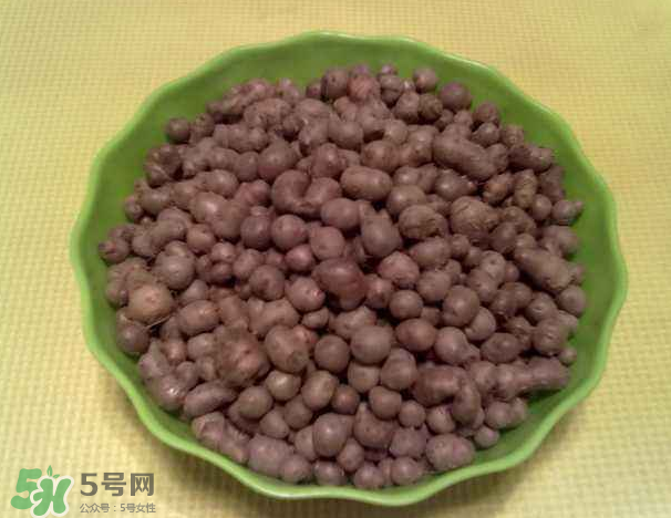 山藥豆是什么東西？山藥豆是長在土里嗎？