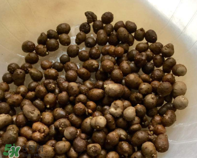 山藥豆能生吃嗎？山藥豆能帶皮吃嗎？
