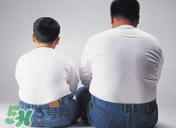 熬夜會長胖的原因  長胖是因為熬夜嗎？