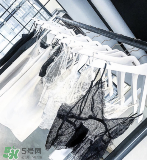 anine bing是什么牌子？anine bing是什么檔次？