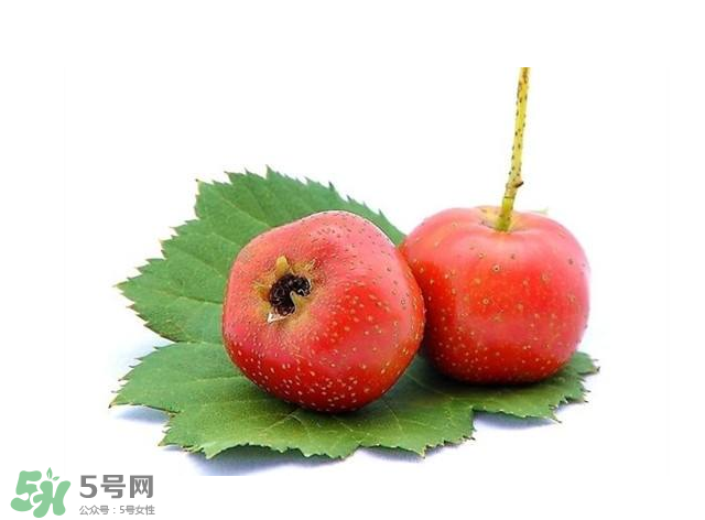山楂和菊花能一起泡水喝嗎？