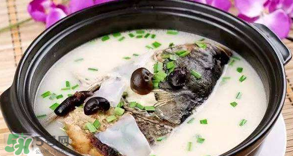 怎樣吃魚(yú)最有營(yíng)養(yǎng)？喝魚(yú)湯會(huì)致高脂血癥嗎？