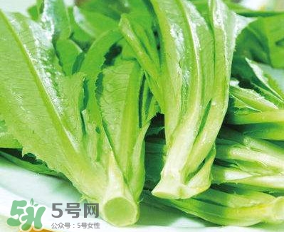 萵苣葉能吃嗎？萵苣葉和油麥菜有什么區(qū)別