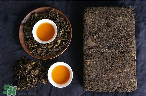 茯茶是熱性還是涼性？茯茶是不是放越久越好？