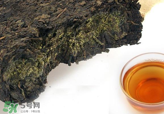 茯茶是熱性還是涼性？茯茶是不是放越久越好？