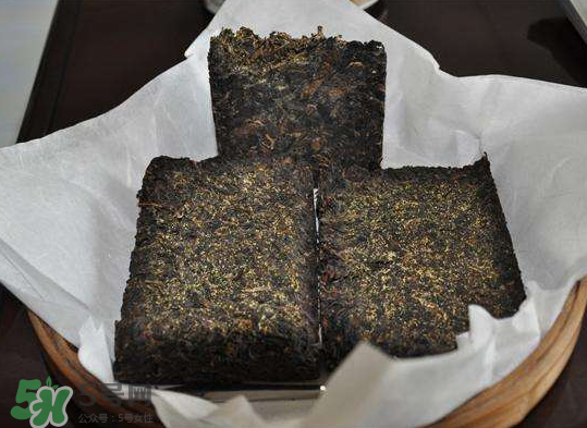 茯茶是熱性還是涼性？茯茶是不是放越久越好？