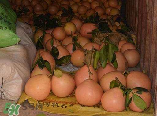 三紅蜜柚怎么儲(chǔ)藏保鮮？三紅蜜柚苗哪里可以買(mǎi)到