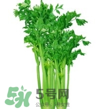 醋泡洋蔥能降血壓嗎？哪些食物可以降血壓？