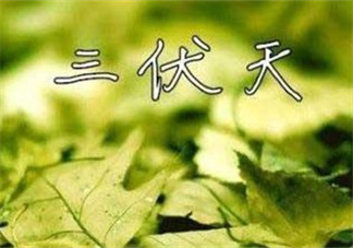 為什么三伏天最熱？如何過好三伏天？