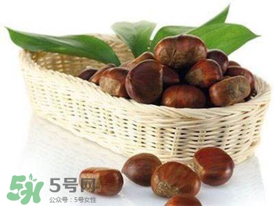 板栗酒能治療腎陽虛嗎？板栗泡酒真的能壯陽嗎？