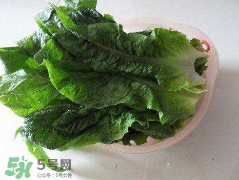 孕婦能吃涼拌萵苣葉嗎？萵苣葉煮水可以治蕁麻疹嗎