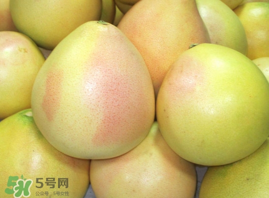 三紅蜜柚什么時候種植？三紅蜜柚什么時候成熟