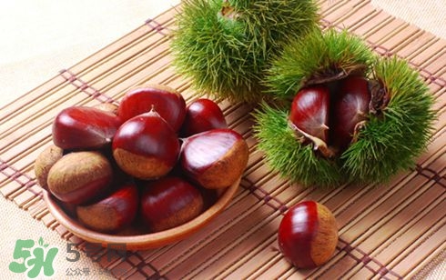 板栗酒能治療腎陽虛嗎？板栗泡酒真的能壯陽嗎？